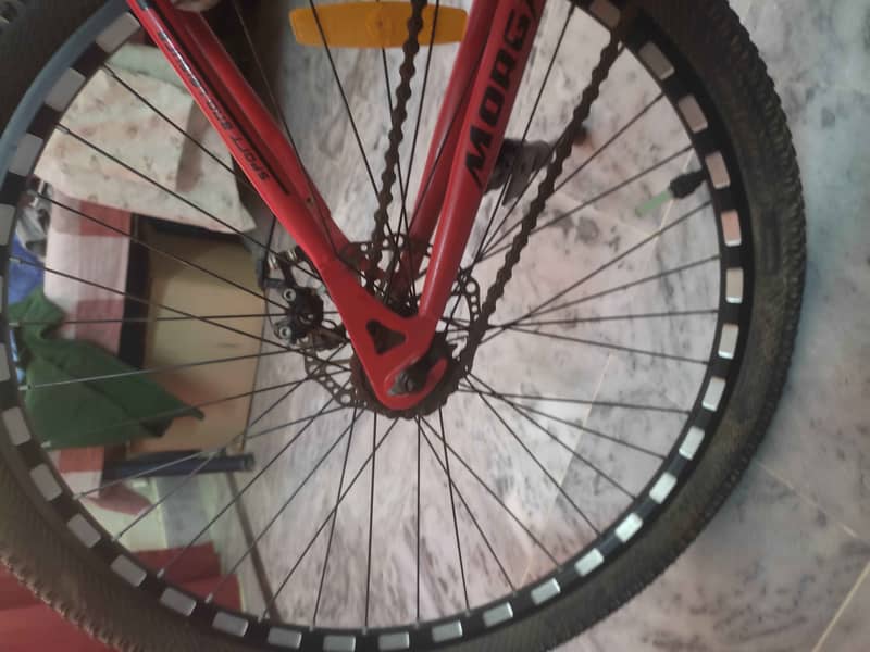 Morgan cycle 1