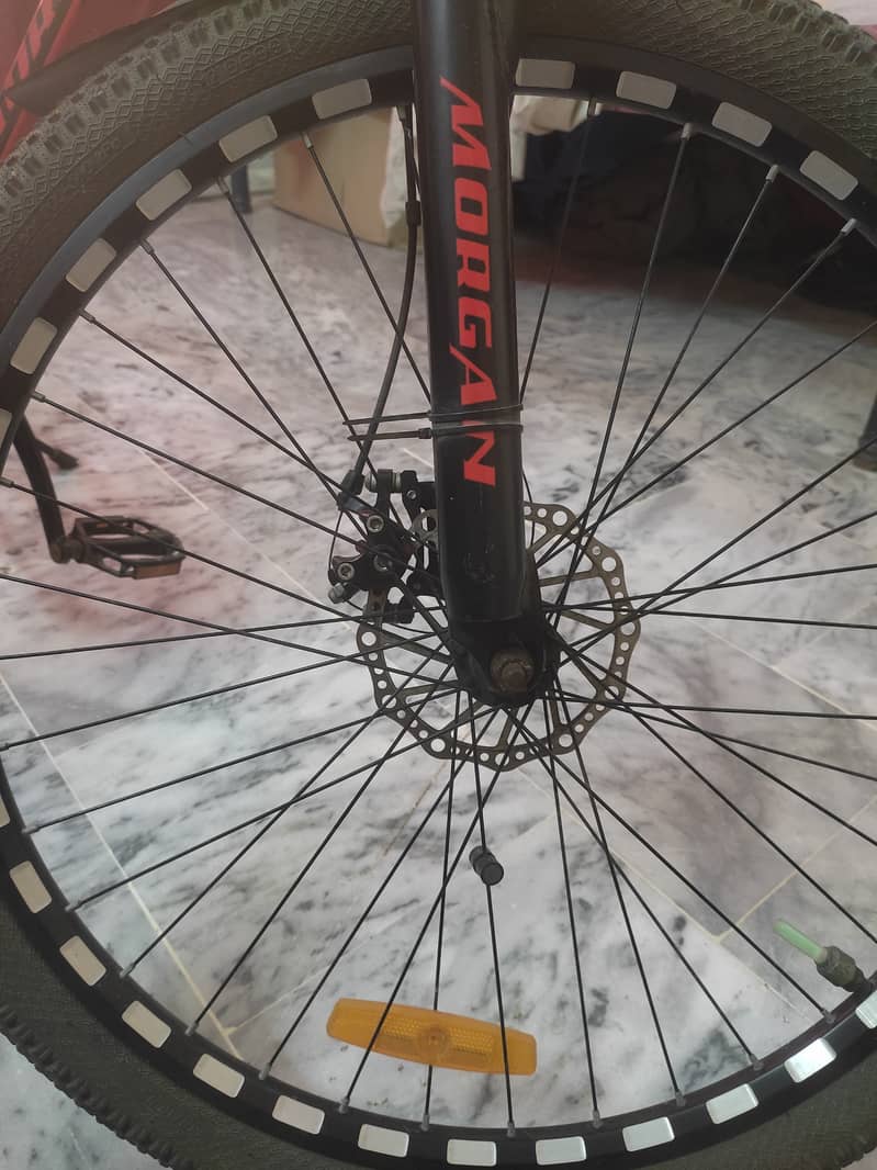 Morgan cycle 2