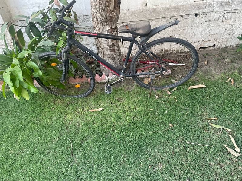 easy motion japani cycle 0