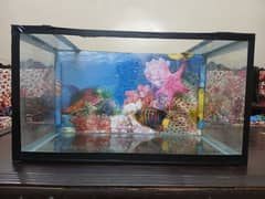 Aquarium