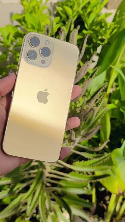 Iphone 13 pro max (PTA Approved) 0
