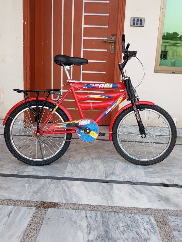 Bicycle size 20 0