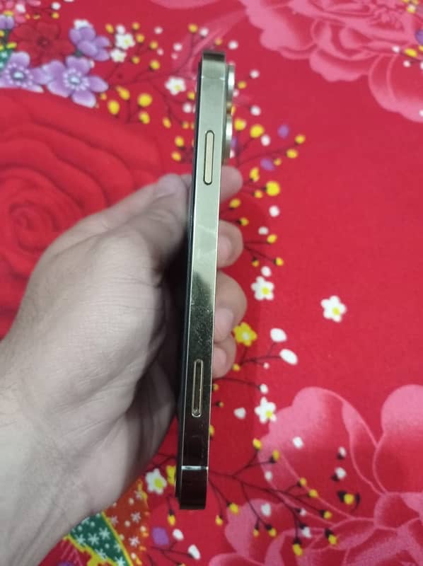 i phone xr convert to 13pro 2