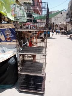 4 PORTION FOLDING CAGE FOR SELL
