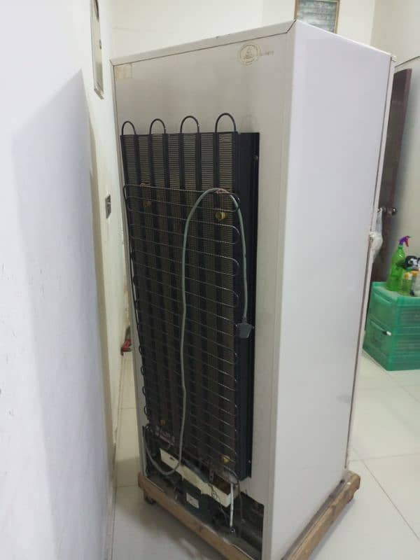 Dawlance Refrigerator For sale 3