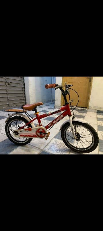 Imported Bicycle 2
