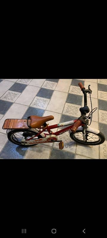 Imported Bicycle 3