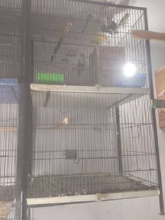 Cage for parrots