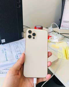 12 pro Lush Condition