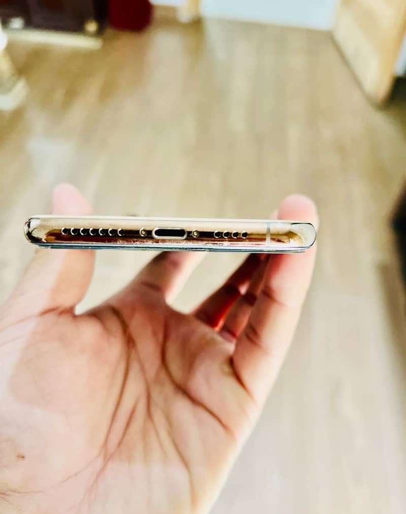 Apple iPhone XS Max 0