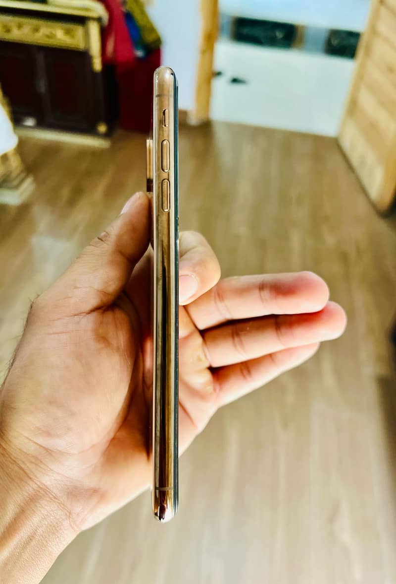 Apple iPhone XS Max 1