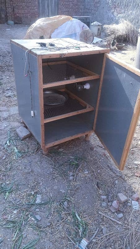 incubator 0