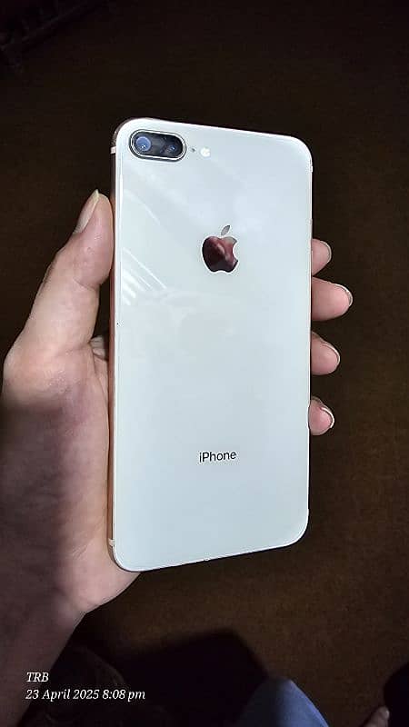 non pta 1