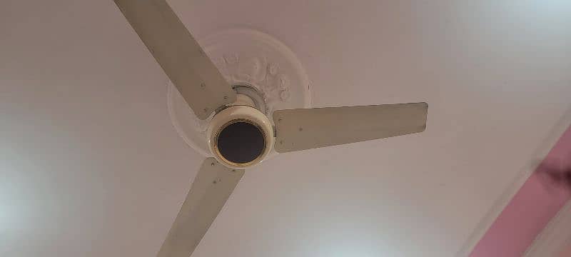 Ceiling Fan 0
