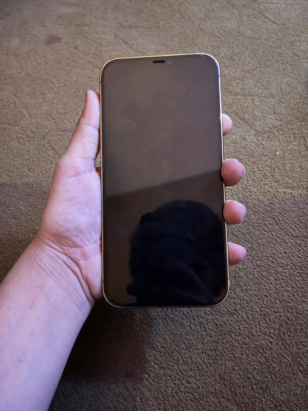 12ProMax 256Gb with Box 1
