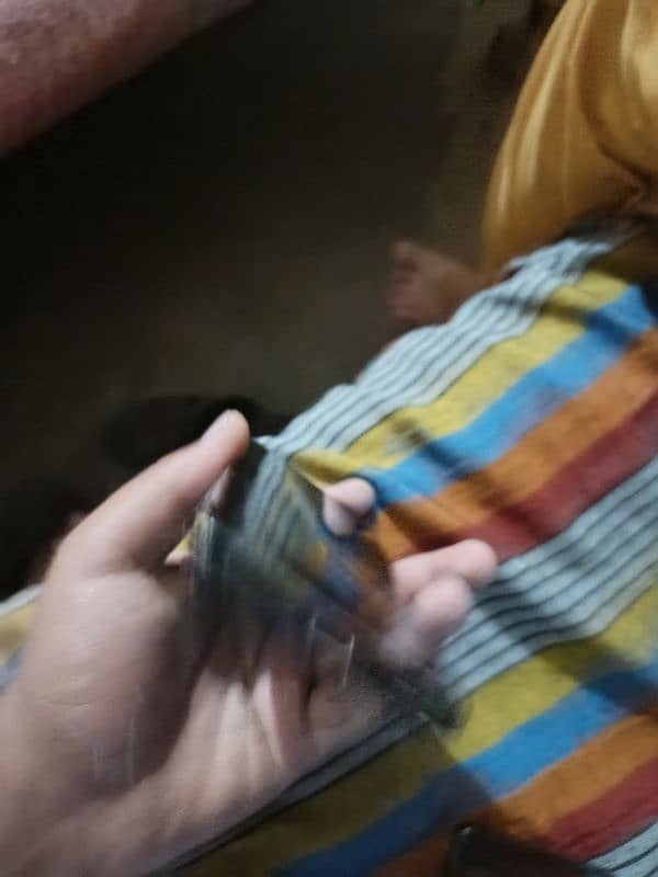 oneplus 8 single line 5