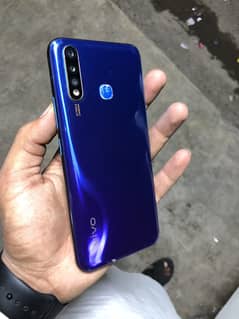 Vivo
