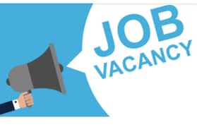 Boy Cook Required for Apartment. E-11 Islamabad