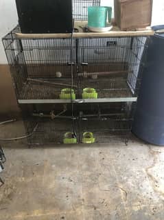 love birds cages