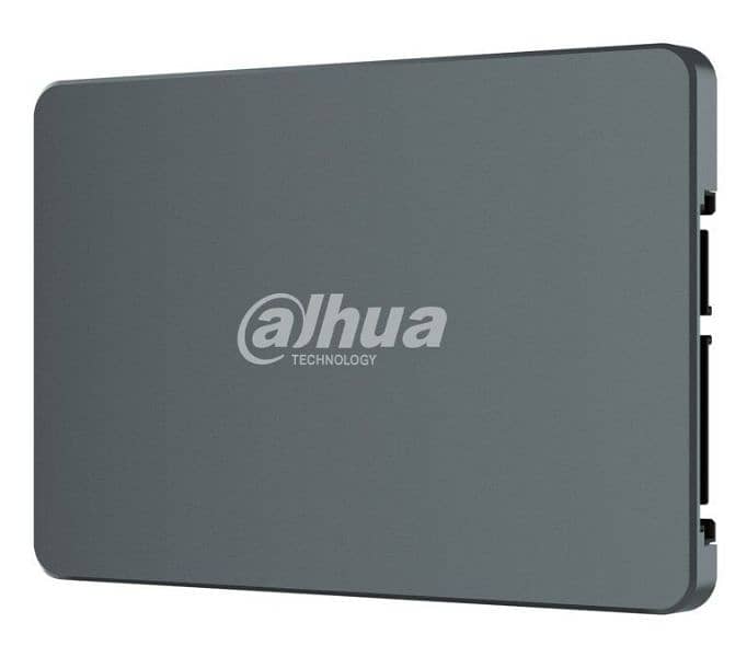 256GB SSD DAHUA C800 0