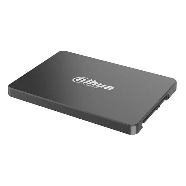 256GB SSD DAHUA C800 1