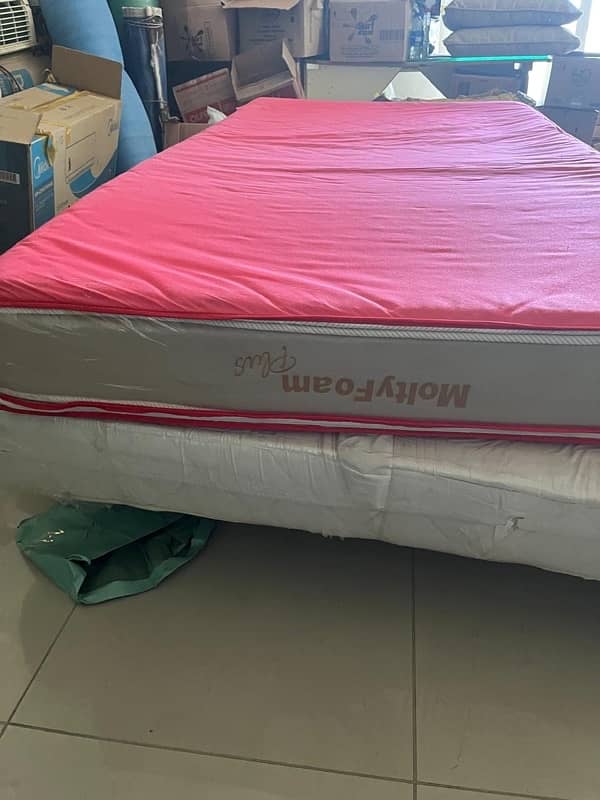 MoltyFoam Single Bed 2in1 Mattress (Brand New) 3