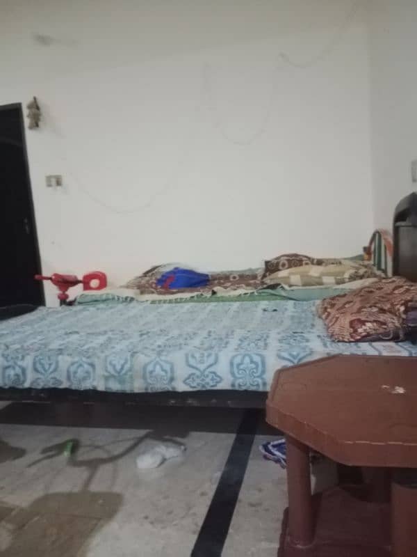 signal bed charpi chair carpet 0