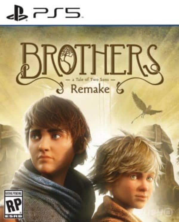 Brothers: A tale of 2 sons Remake 0