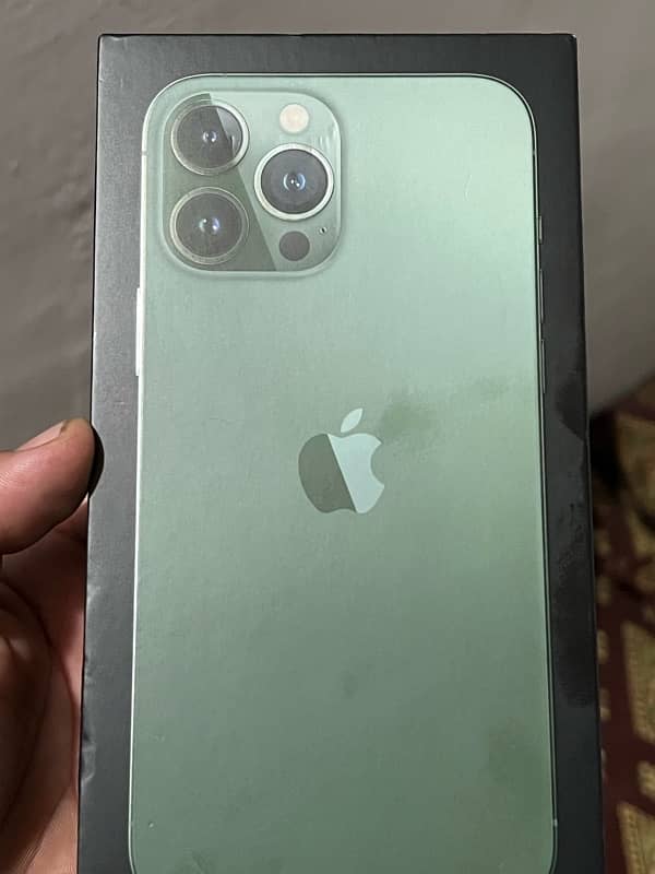 iphone 13 pro max 11