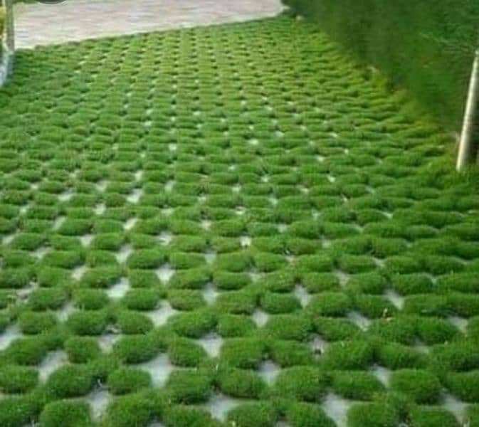 chemical Tuff tiles, OT, Tuff tiles, Pavers, clad stone 7