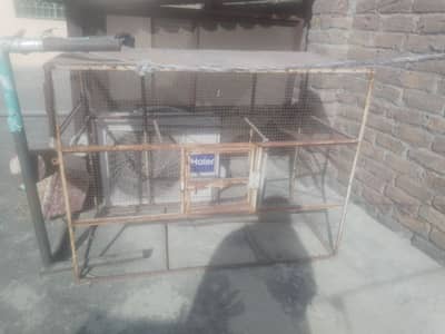 birds cage