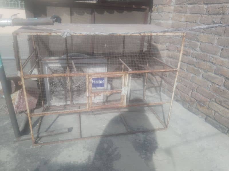 birds cage 1