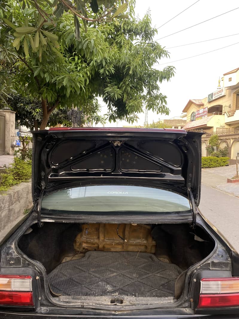 Cleaned Indus 6