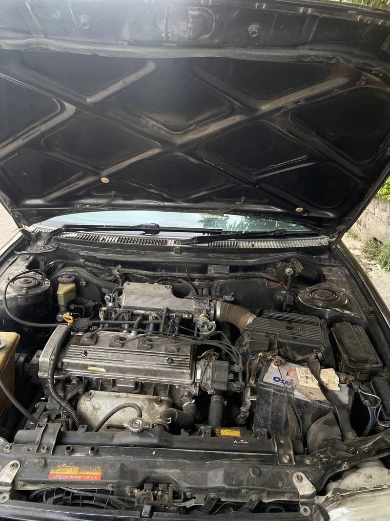 Cleaned Indus 8