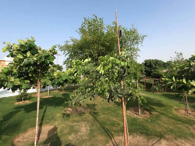 Prime Location 120 Square Yards Residential Plot For Sale In Scheme 33 25
