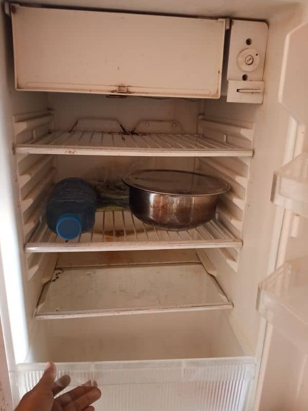 Electra fridge 1