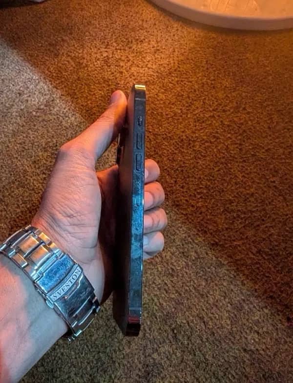iPhone 13 Pro Max Jv 1