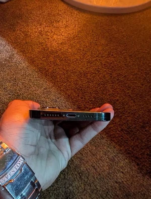 iPhone 13 Pro Max Jv 4