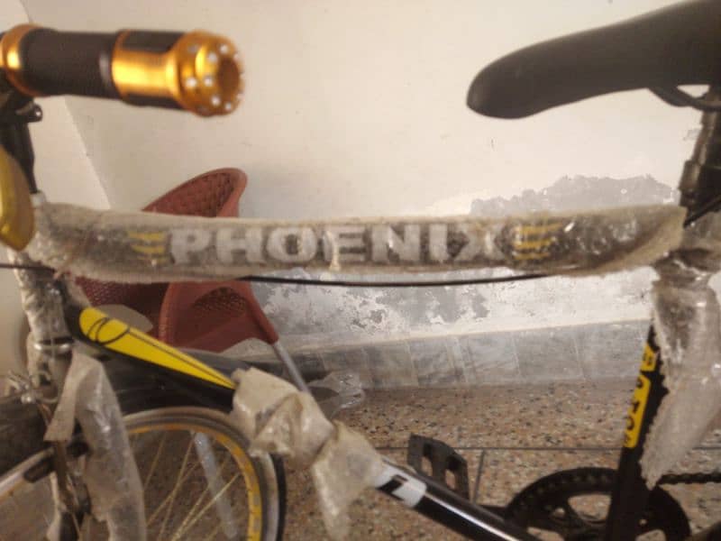 PHOENIX BICYCLE 1