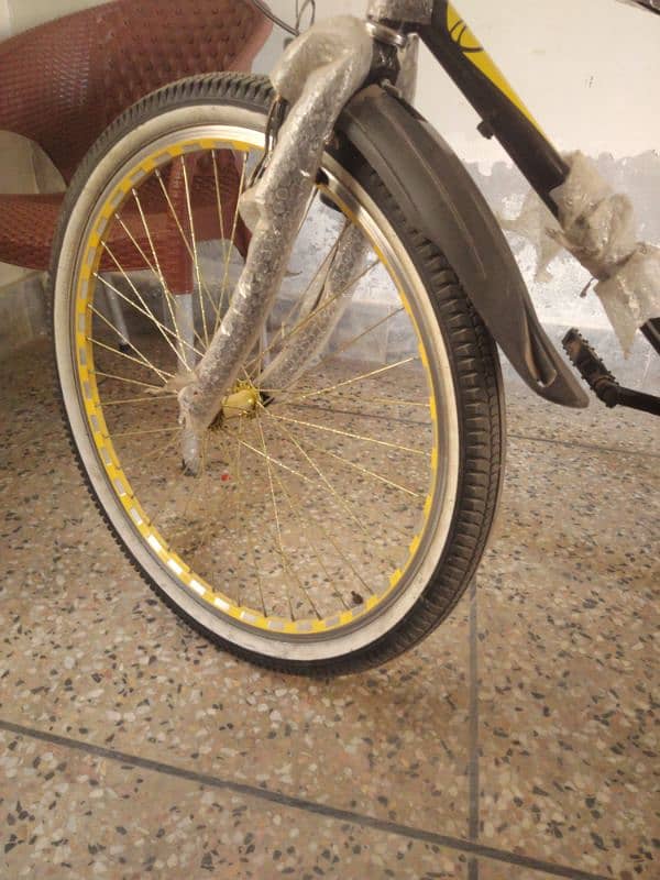 PHOENIX BICYCLE 2
