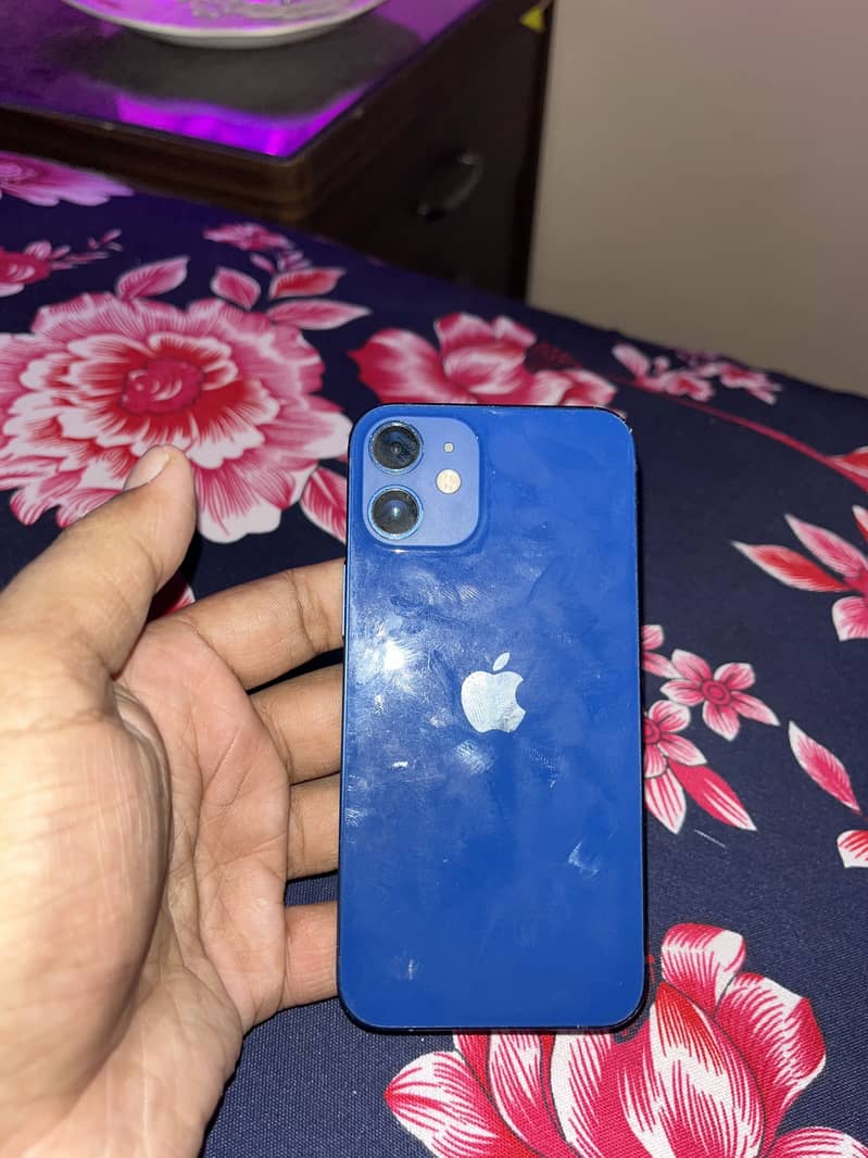 iPhone 12 mini 1