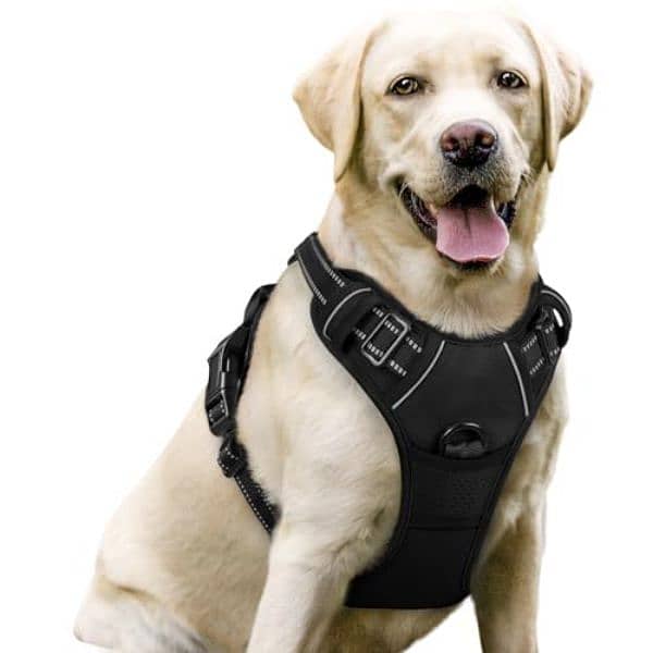Dog and Cat  Harness Adjustable Size کتے اور بلی کا پٹا 0