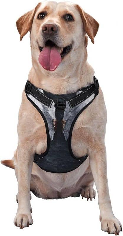 Dog and Cat  Harness Adjustable Size کتے اور بلی کا پٹا 1