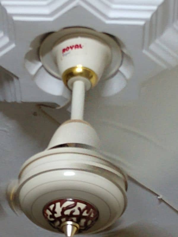 Celling fan for sale brand Royal Fan & Sufi Fans 0
