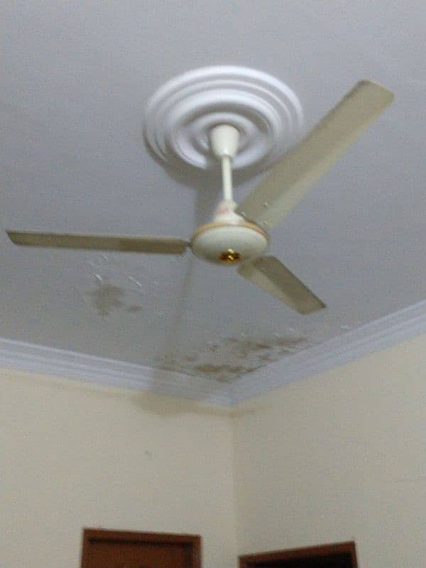 Celling fan for sale brand Royal Fan & Sufi Fans 2
