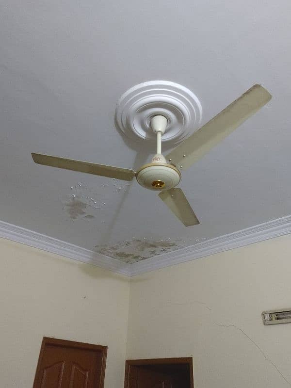 Celling fan for sale brand Royal Fan & Sufi Fans 3