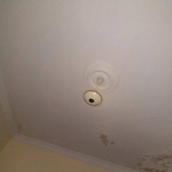 Celling fan for sale brand Royal Fan & Sufi Fans 4