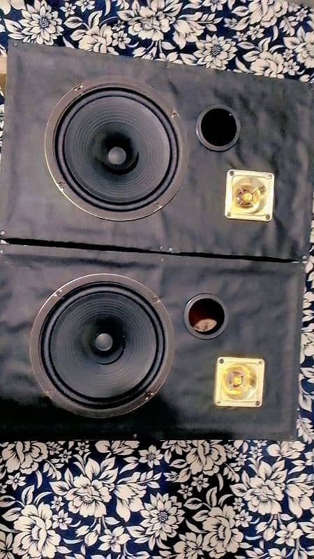 8 inch speaker 3