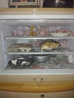 large size pel fridge urgent sale