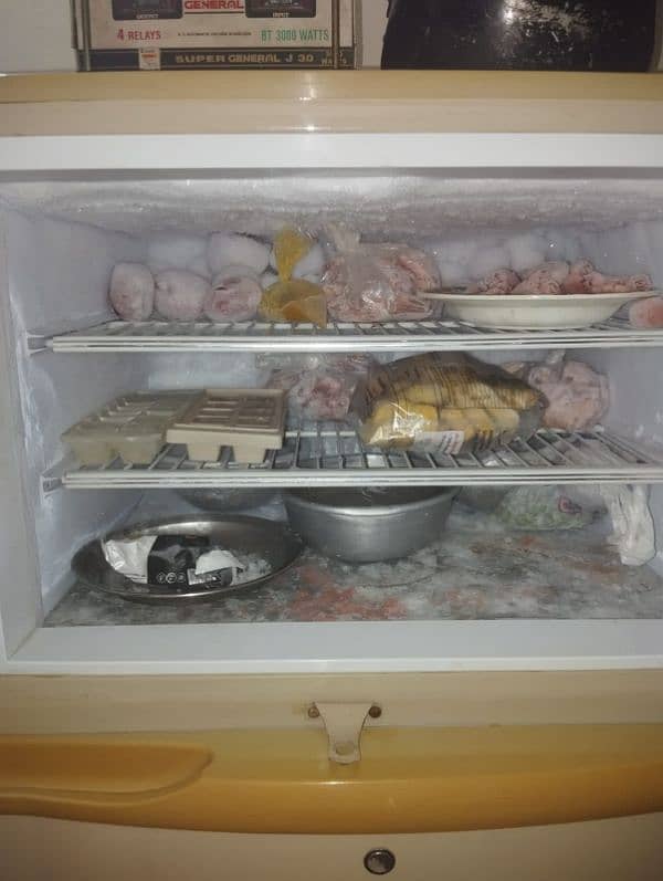 large size pel fridge urgent sale 0